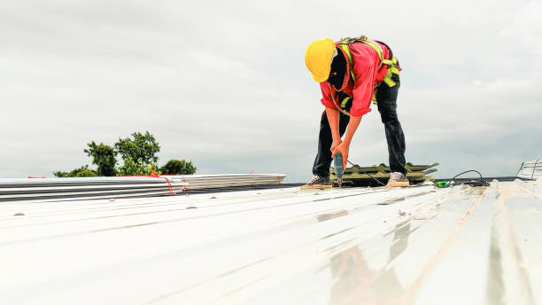 Steel Roofing in Vadnais Heights, MN